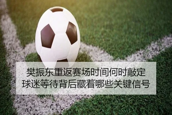 樊振东重返赛场时间何时敲定 球迷等待背后藏着哪些关键信号 | bet365