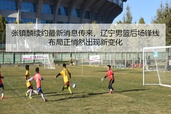 张镇麟续约最新消息传来，辽宁男篮后场锋线布局正悄然出现新变化 | bet365
